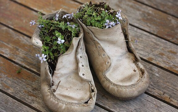 kwiaty w butach