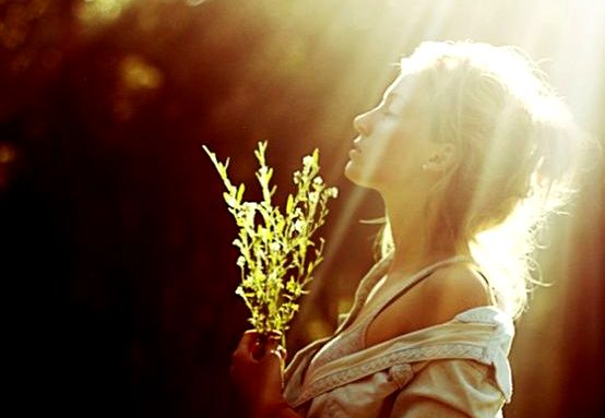 Kobieta z rośliną w ręku cieszy się słońcem