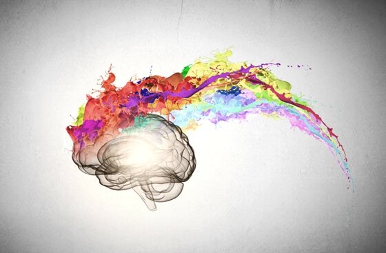 Kolorowy mózg.