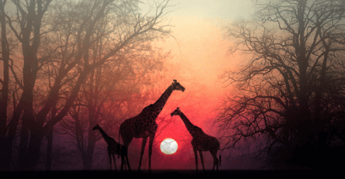 Afrykańska opowieść - zatrzymaj się po to, by dusza mogła cię dogonić