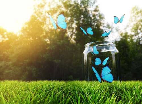 Butelka szczęścia: jak ją zrobić i jak działa?