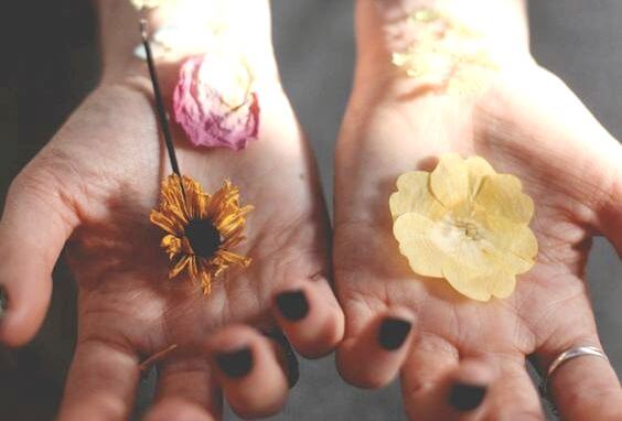 Kwiaty w dłoniach