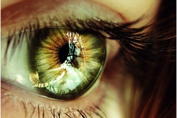 Zielone oko.