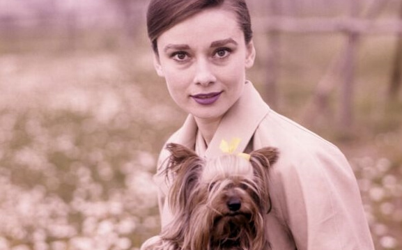 Audrey z psem