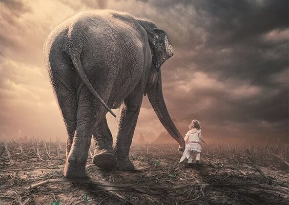Dziewczynka prowadząca słonia.