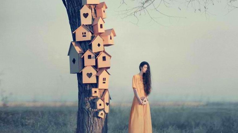 Szacunek - kobieta i domki dla ptaków na drzewie.