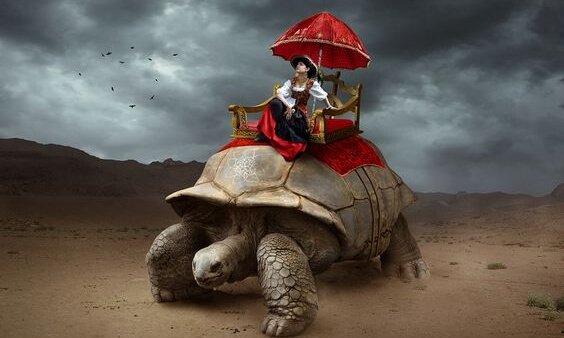 Kobieta na żółwiu.