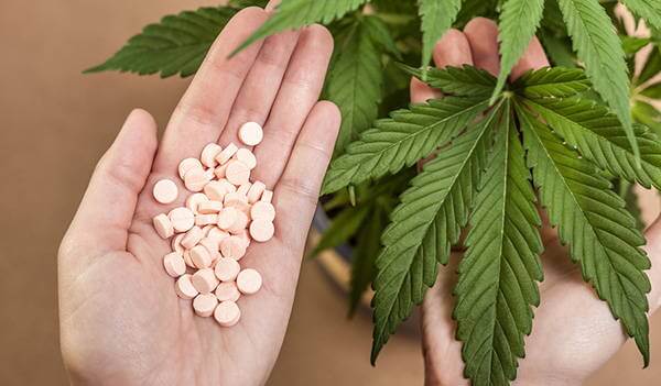 Marihuana w celach leczniczych.