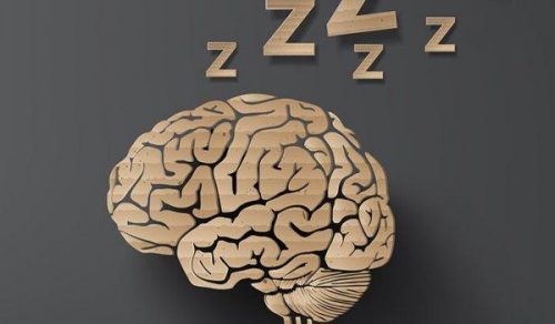 Śpiący mózg