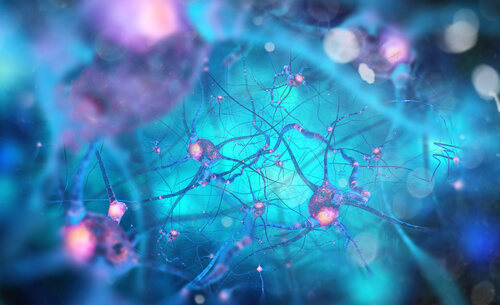 Neurony lustrzane.
