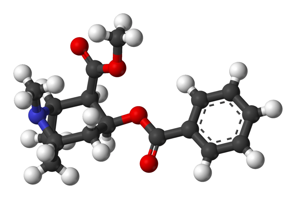 Skład chemiczny kokainy