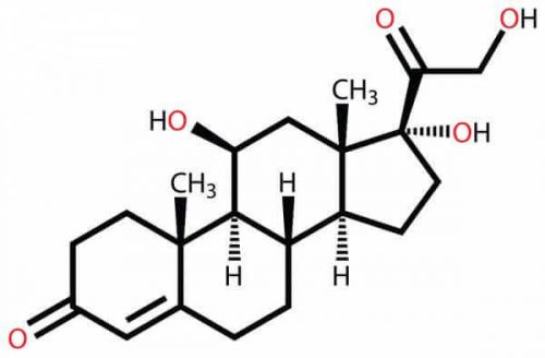 Kortyzol - równanie chemiczne