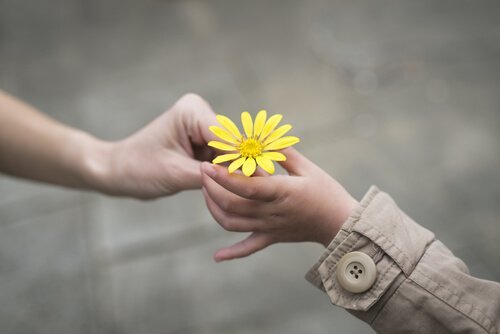 Kwiatek - życzliwość