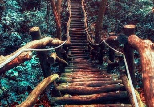 Podążaj naprzód, a Twój szlak zacznie się pojawiać tuż przed Tobą