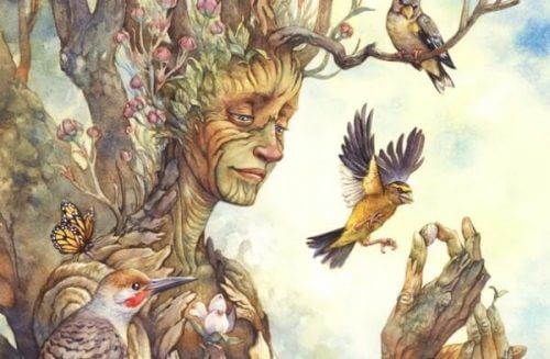 Drzewa - czego mogą nauczyć o znalezieniu szczęścia