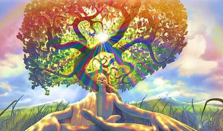 Medytacja pod drzewem