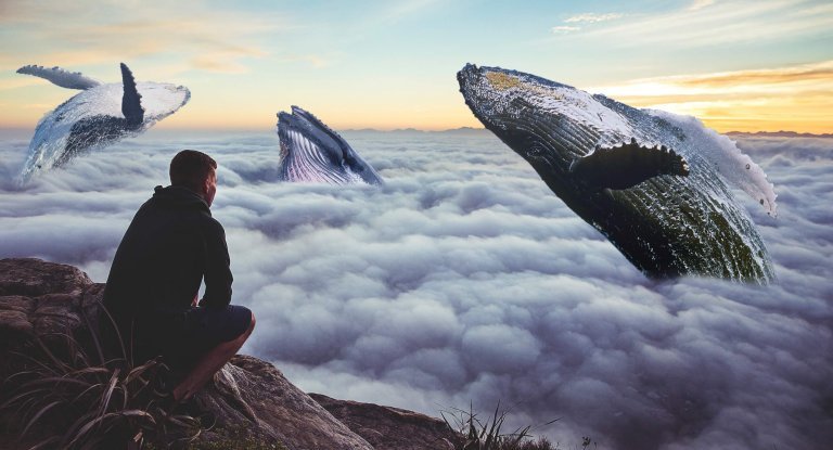 mężczyzna i wieloryby - uczucie strachu