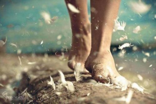 Stopy latające wokół piórka