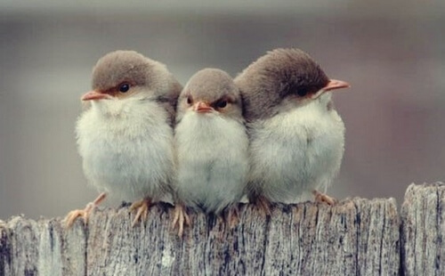 Trzy rodzaje przyjaźni według Arystotelesa