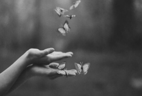 Dłonie - motyle
