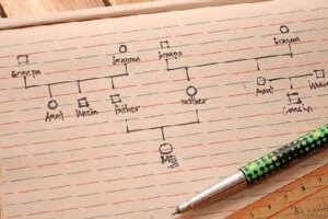 Genogram – przewodnik krok po kroku