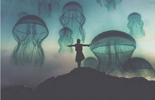 Kobieta i meduzy