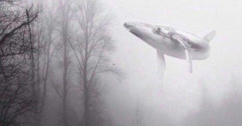 Niebieski wieloryb latający w lesie