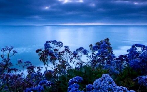 Kolor, który redukuje stres: odcień spokoju