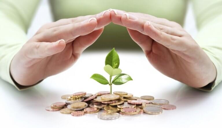 ręce chroniące pieniądze