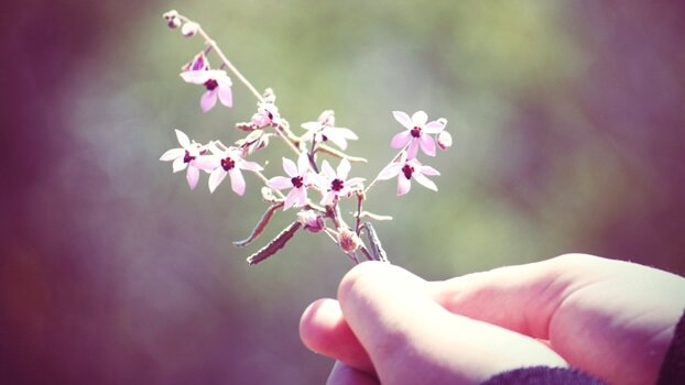ręka podtrzymująca kwiat