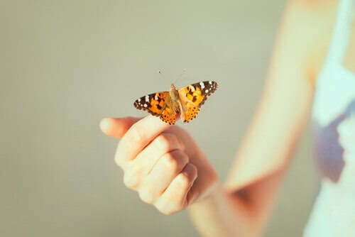 ręka z motylem