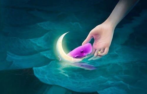 Niebieski wieloryb – zabawa w samobójstwo