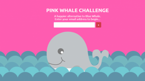 Różowy wieloryb - odpowiedź na grę niebieski wieloryb