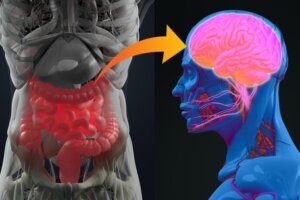 Psychobiotyki – czym są i jaki mają na nas wpływ?