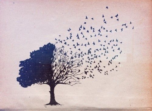 drzewo zmieniające się w ptaki