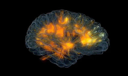 Neurony w mózgu.