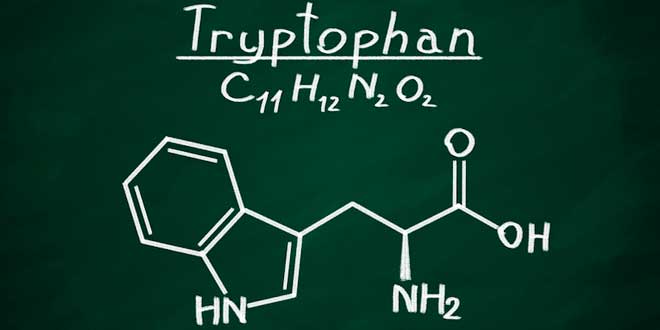 tryptofan