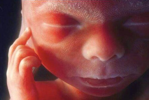 Obrazowanie aktywności mózgu w okresie płodowym