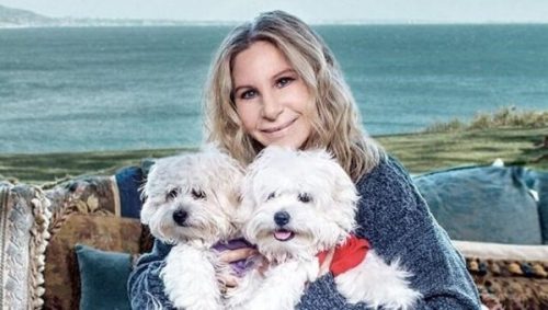 Barbara Streisand z psami