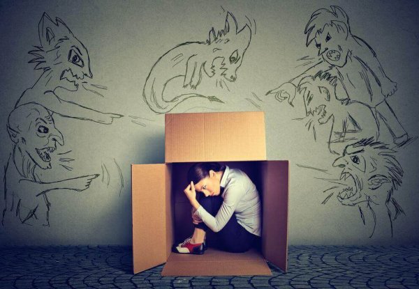 Ganienie - kobieta w kartonie