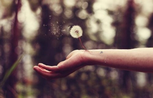 Zdrada - leczenie zadanych przez nią ran