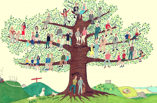 Drzewo genealogiczne - czego można się z niego dowiedzieć?