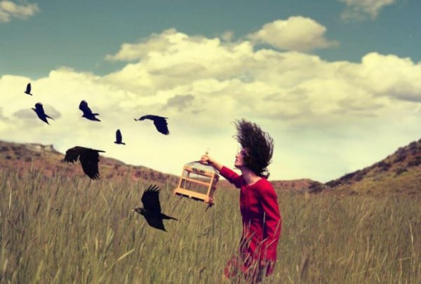 Kobieta wypuszczająca ptaki na wolnośc.