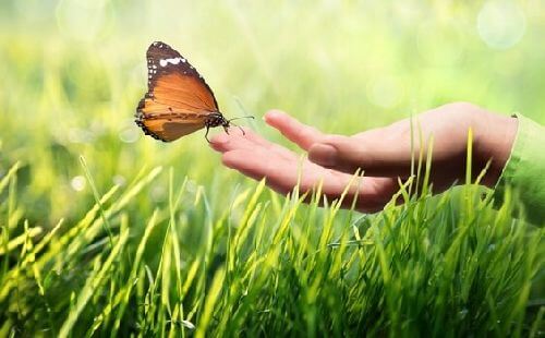 Komunikacja kinestetyczna: dlaczego jest ona aż tak ważna?