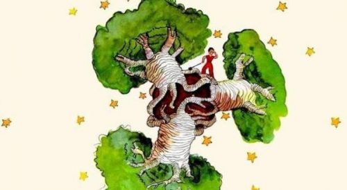 Drzewo baobabu w sercu - refleksje nad Małym Księciem