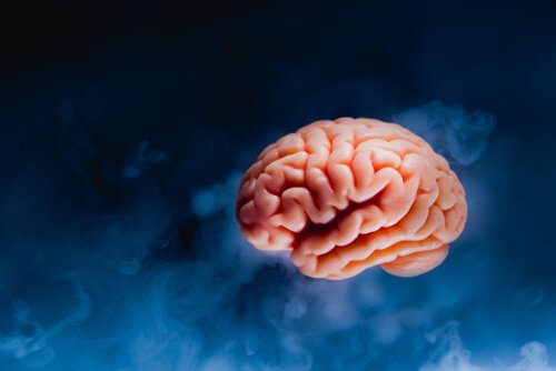 Mózgowe tsunami: co dzieje się w Twoim mózgu przed śmiercią