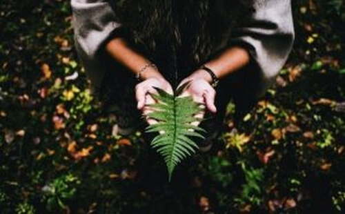 Sens w życiu: do jego znalezienia potrzebujesz spokoju i cierpliwości