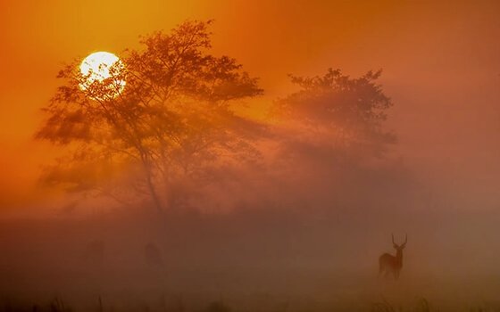 afrykański zachód słońca