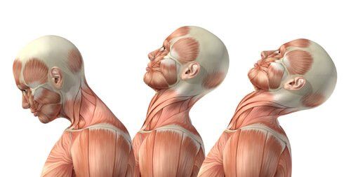 Ćwiczenia mięśni szyi