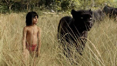 "Dzikie dzieci" i ich zachowanie w naszym społeczeństwie